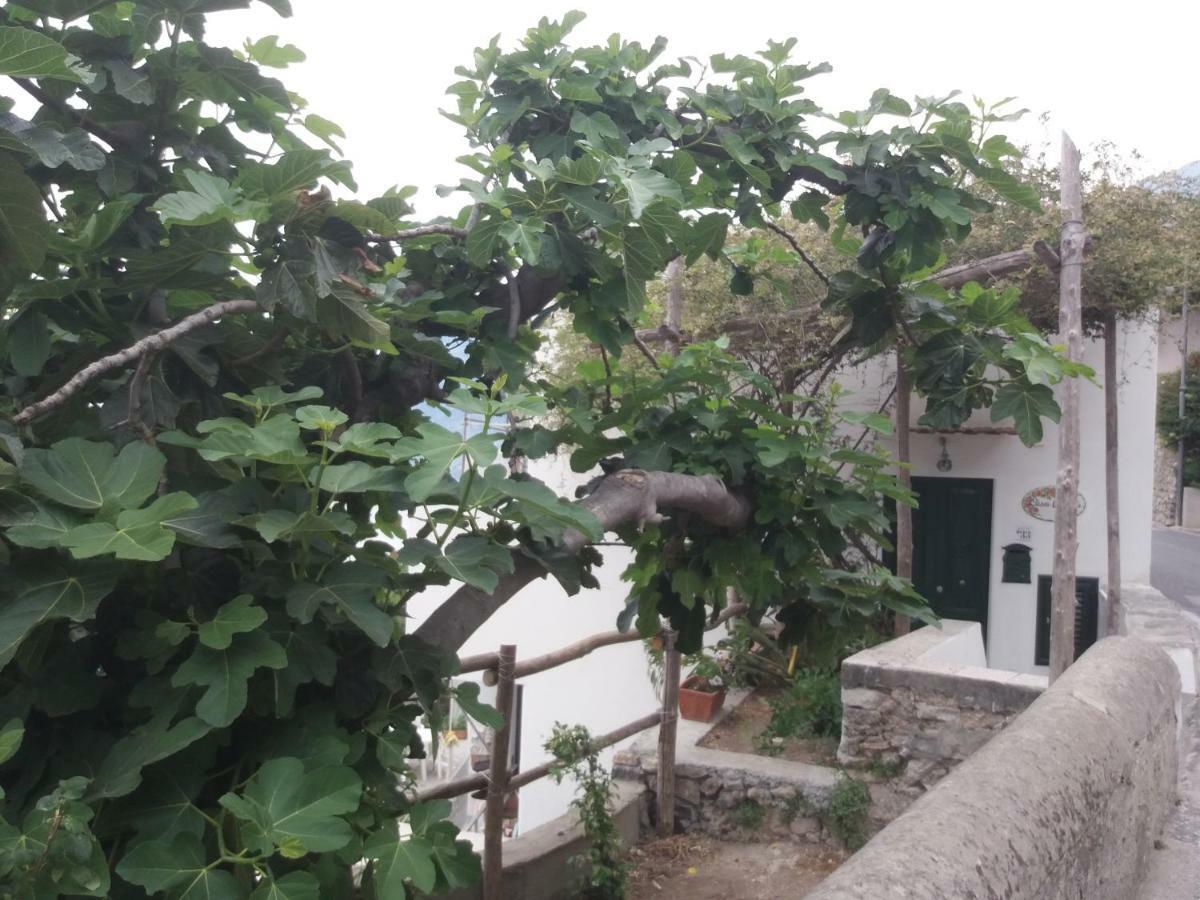 הוילה פראינו Casa Rosetta מראה חיצוני תמונה